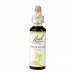 Product - Wild Rose 20ml