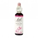 Willow 20ml