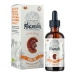 Product - Reishi 1:4 Triple Extracted 50ml
