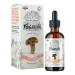 Shiitake 1:4 Triple Extracted 50ml