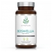 Boswellia 60's