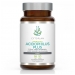 Acidophilus Plus 30's