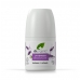 Lavender Deodorant 50ml