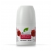 Rose Otto Deodorant 50ml