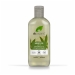 Hemp Oil 2in1 Shampoo & Conditioner 265ml