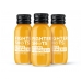 Ginger Turmeric 12x60ml CASE