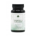 Product - Turmeric & Curcumin 60's