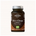 Mico-Chaga 70's