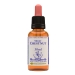 Product - Sweet Chestnut 30ml