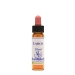 Larch 10ml