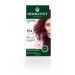 Permanent Hair Colour Gel FF4 Violet 150ml