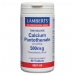 Product - Calcium Pantothenate 500mg 60's
