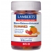 Biome Balance Advanced Gummies 30s