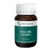Boswellia Complex 60s