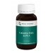 Curcuma Forte & PEA 60s