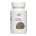 Coriolus (Organic) Capsules 60s