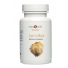 Lion's Mane (Organic) Capsules 60s