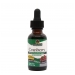 Cranberry Extract (Alcohol-Free) 30ml