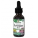 Echinacea Root (Alcohol-Free) 30ml