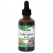Echinacea Root (Alcohol-Free) 60ml
