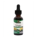 Ginger Root (Alcohol Free) 30ml