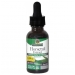 Horsetail Extract (Alcohol-Free) 30ml