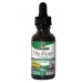Skullcap Extract (Alcohol Free) 30ml