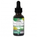 Gymnema Leaf Extract (Alcohol-Free) 30ml