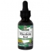 Rhodiola Root (Alcohol Free) 30ml