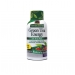 Green Tea Energy 60ml