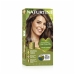 5G Light Golden Chestnut