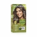 6N Dark Blonde