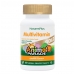 Animal Parade GOLD Multivitamin Sugar Free Orange Flavour 60s