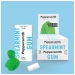 Spearmint Gum 12 x 15g CASE