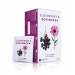 Elderberry & Echinacea Tea Bags 20's