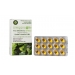 Wild Oregano Oil Softgels 30’s (Currently Unavailable)