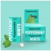 Peppermint Mints 12 x 15g CASE