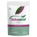 Salvestrol 350 60s