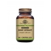 Ginger Root Extract 60's