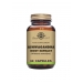 Ashwagandha Root Extract 60s