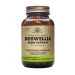 Boswellia Resin Extract 60's