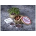 Organic Microgreen Grow Kit (Red Cabbage)