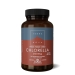 Chlorella 500mg 100's