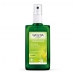 Citrus Fresh Deo Spray 100ml