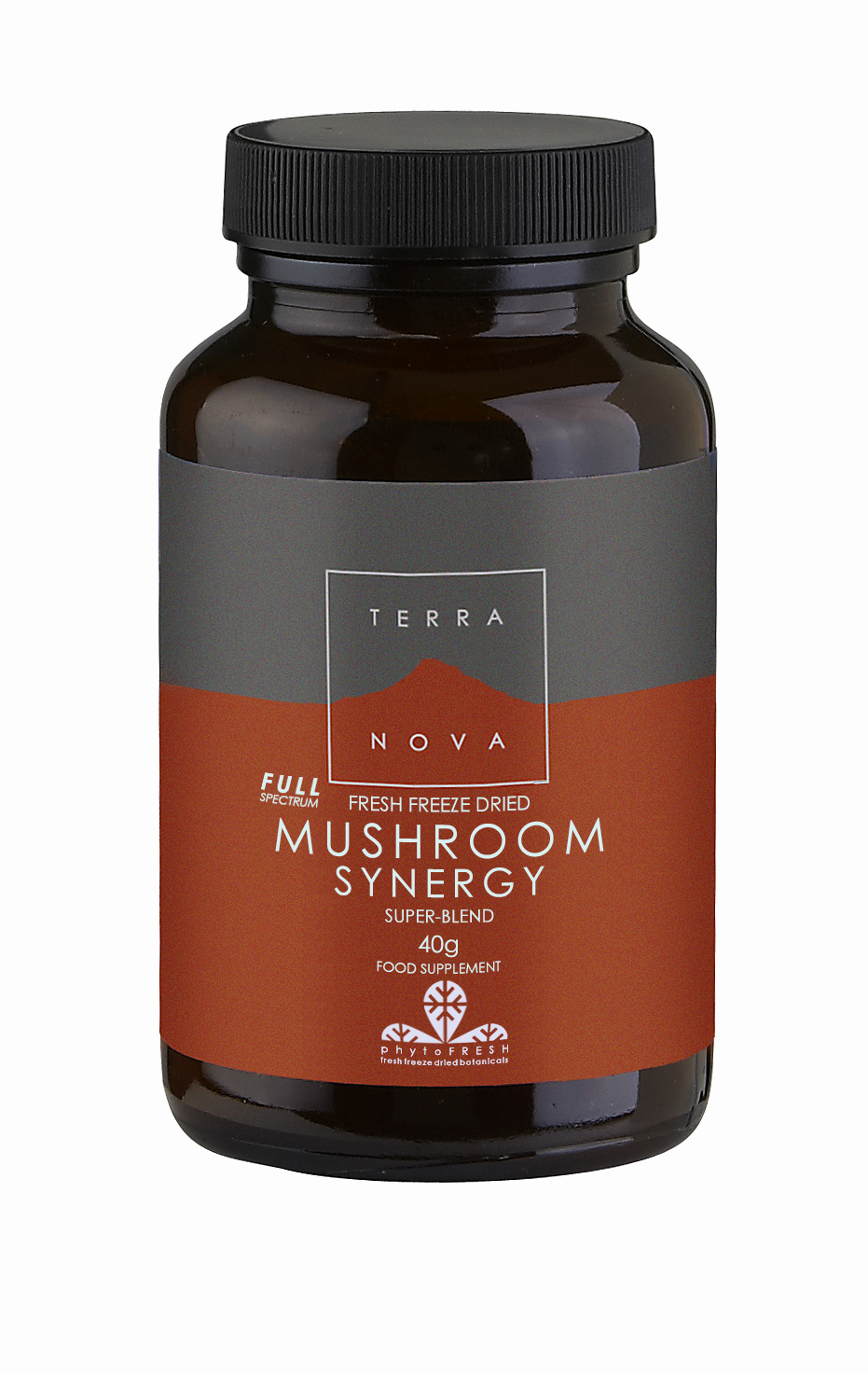Mushroom Synergy Super-Blend Powder 40g